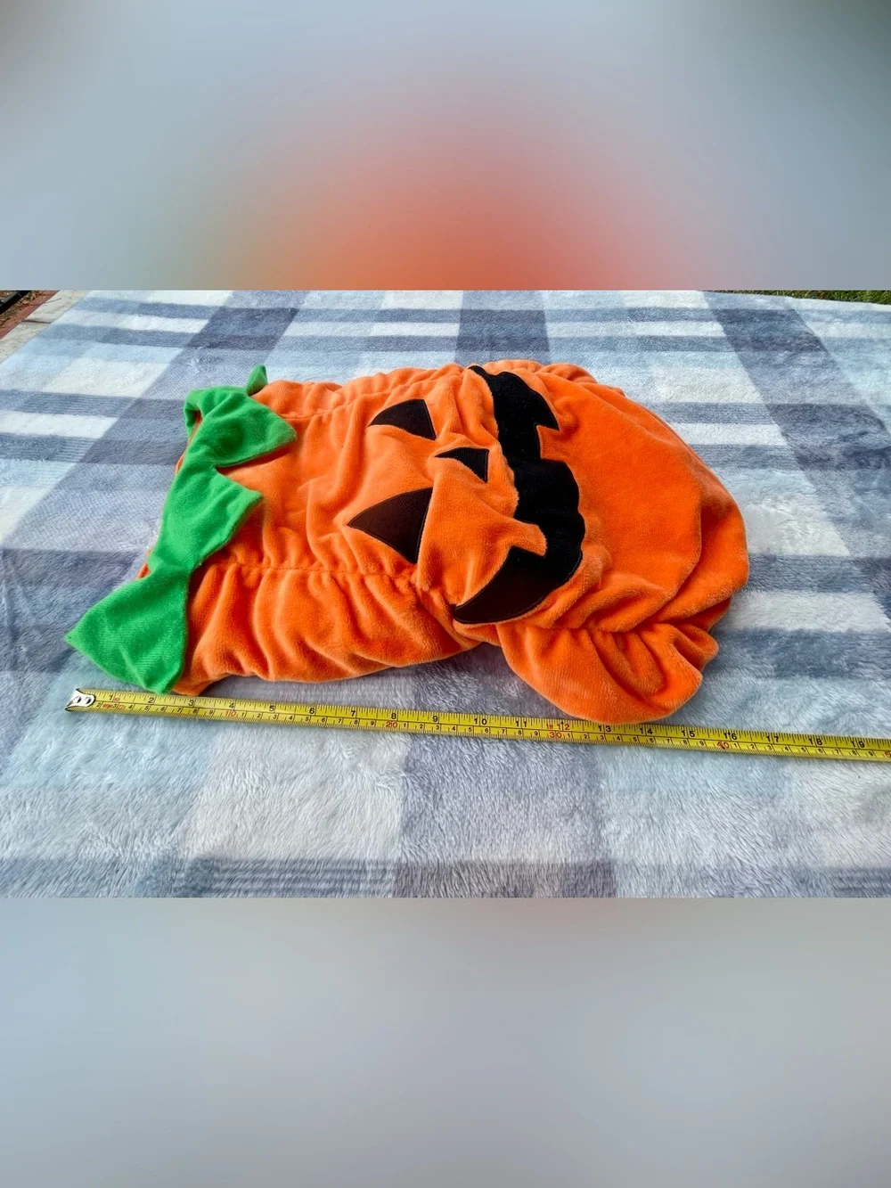 Set of dog clothes
